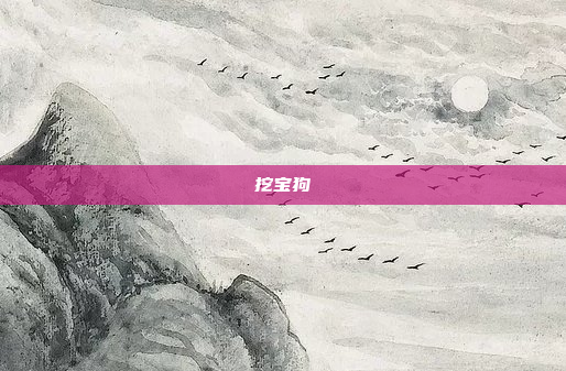 挖宝狗