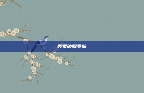 吾爱破解导航