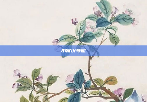 小常识导航