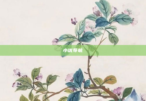 小优导航