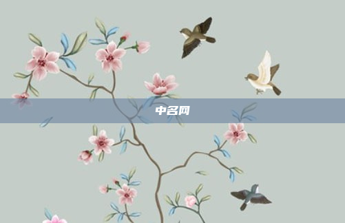 中名网