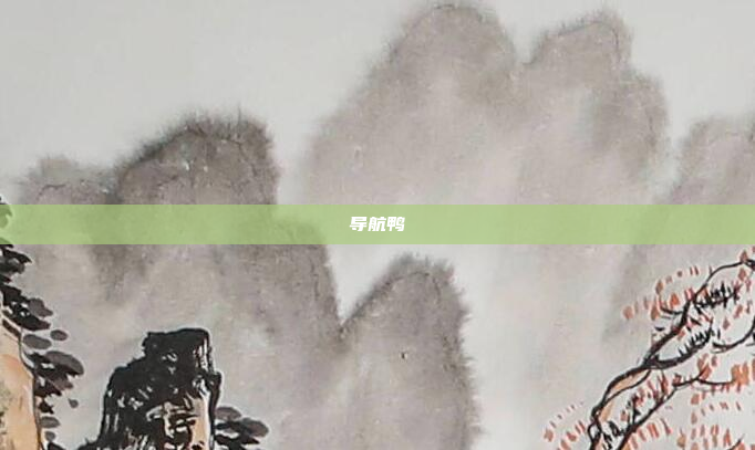 导航鸭