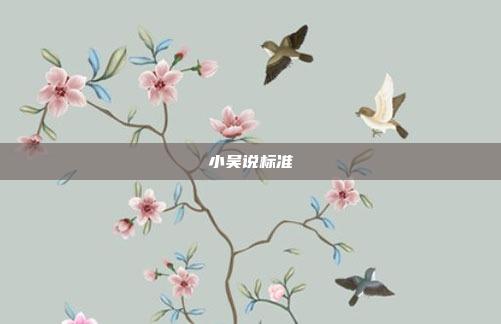 小吴说标准