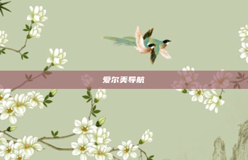 爱尔美导航