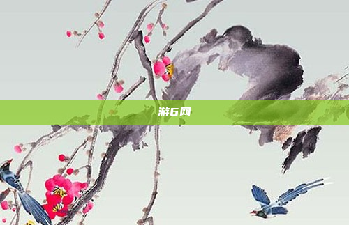 游6网