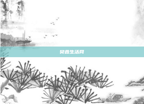 樊鑫生活网