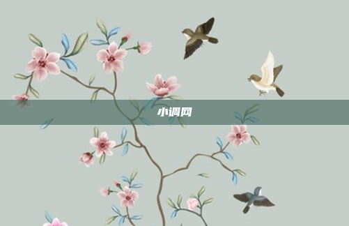 小调网