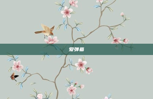爱弹幕