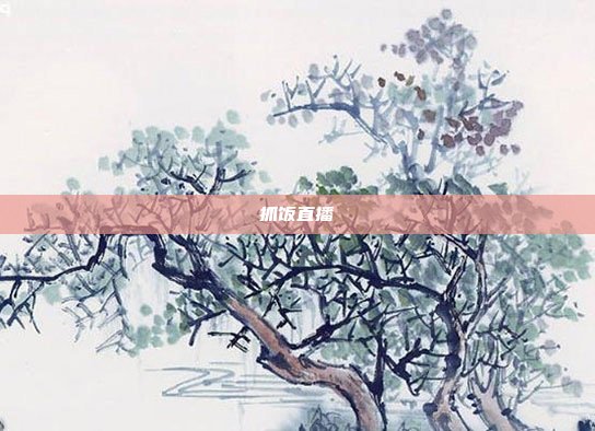 抓饭直播