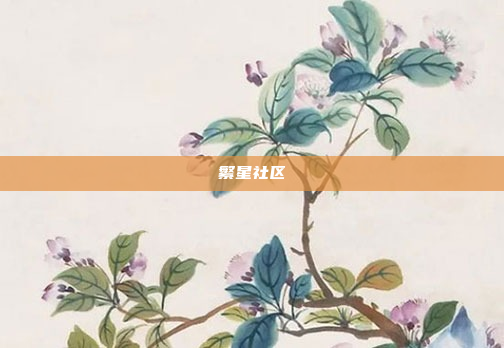 繁星社区