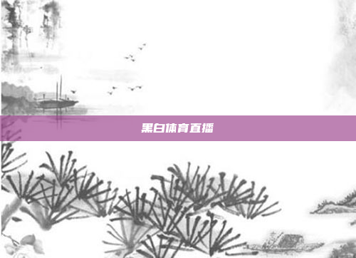 黑白体育直播