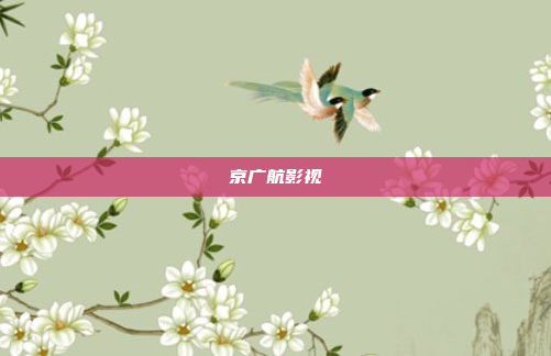 京广航影视