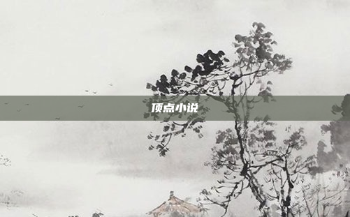 顶点小说