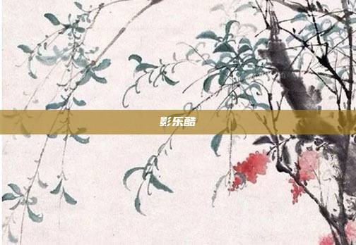 影乐酷