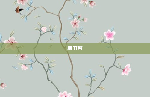 宝书网