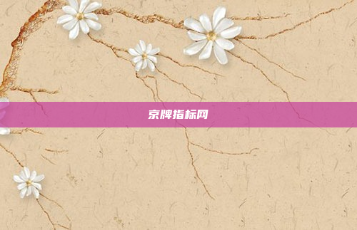 京牌指标网