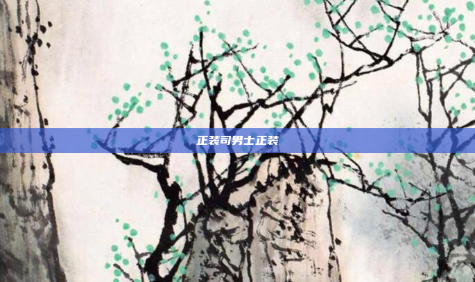 正装司男士正装