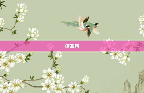 贝宠网