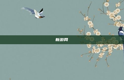 新游网