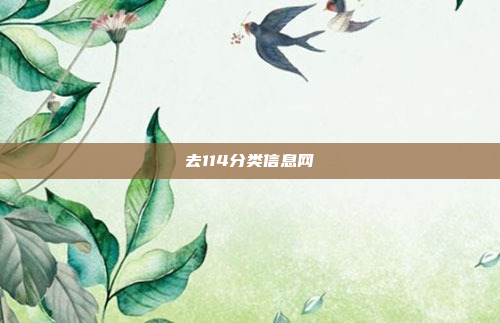去114分类信息网