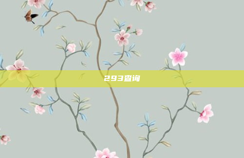 293查询