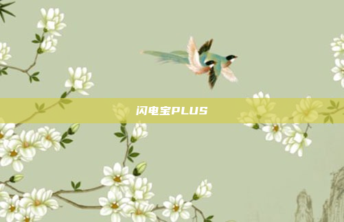 闪电宝PLUS