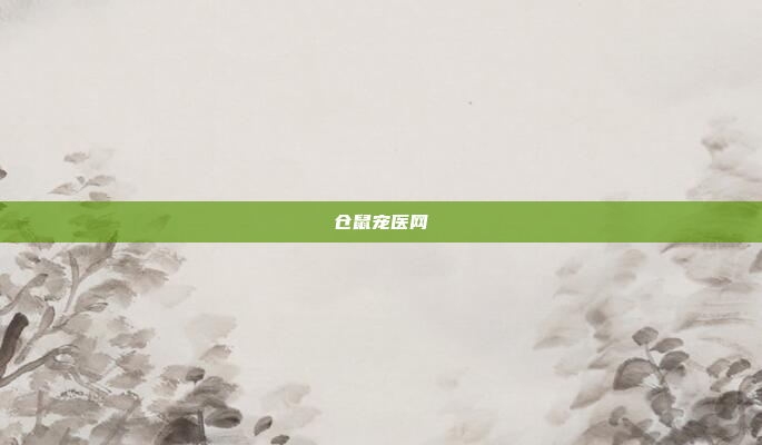 仓鼠宠医网