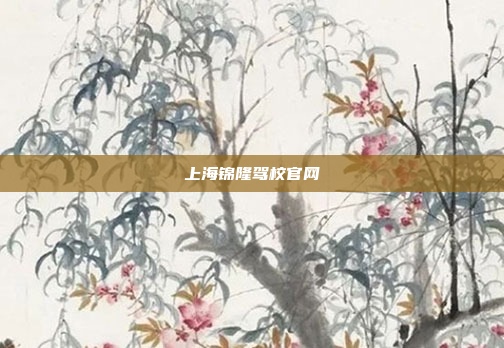 上海锦隆驾校官网