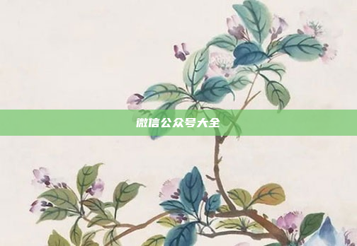 微信公众号大全