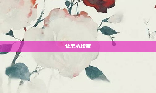 北京本地宝