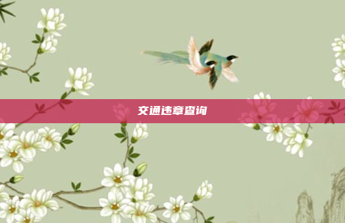 交通违章查询