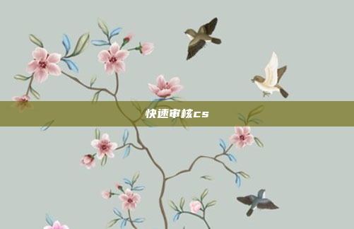 快速审核cs