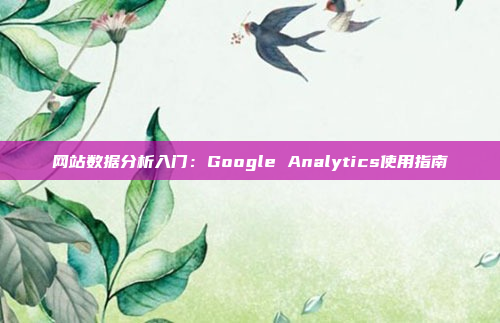 网站数据分析入门:Google Analytics使用指南