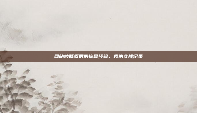 网站被降权后的恢复经验：我的实战记录