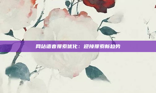 网站语音搜索优化：迎接搜索新趋势