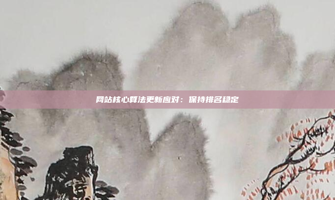 网站核心算法更新应对：保持排名稳定