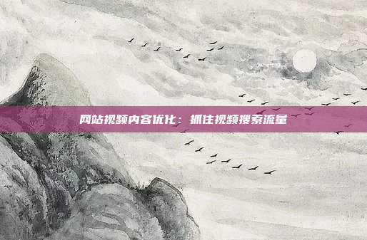 网站视频内容优化：抓住视频搜索流量