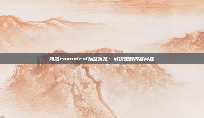 网站canonical标签优化:解决重复内容问题