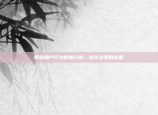 网站用户行为数据分析:优化决策的依据