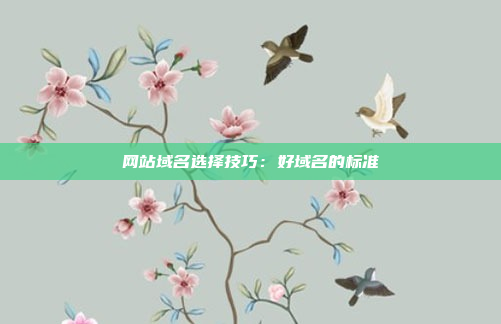 网站域名选择技巧：好域名的标准