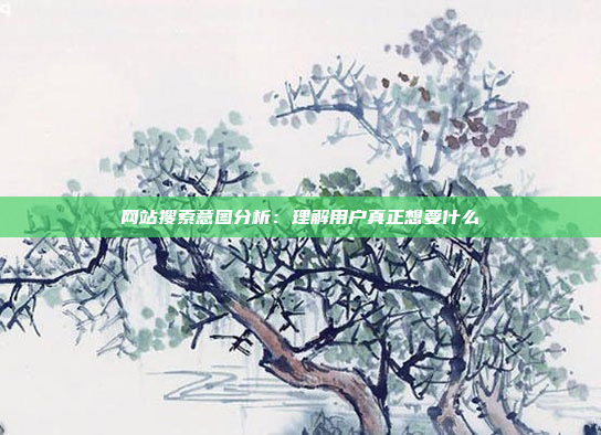 网站搜索意图分析:理解用户真正想要什么