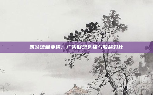 网站流量变现：广告联盟选择与收益对比