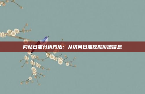 网站日志分析方法:从访问日志挖掘价值信息