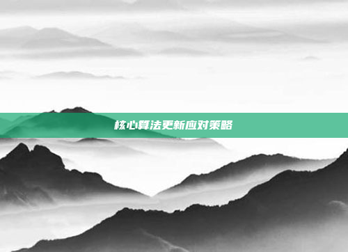 核心算法更新应对策略