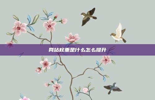 网站权重是什么怎么提升