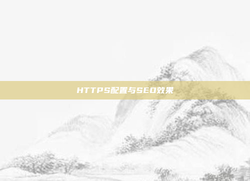 HTTPS配置与SEO效果