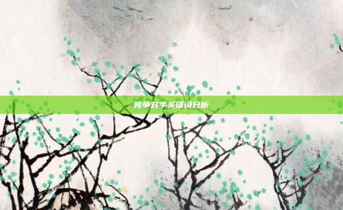 竞争对手关键词分析