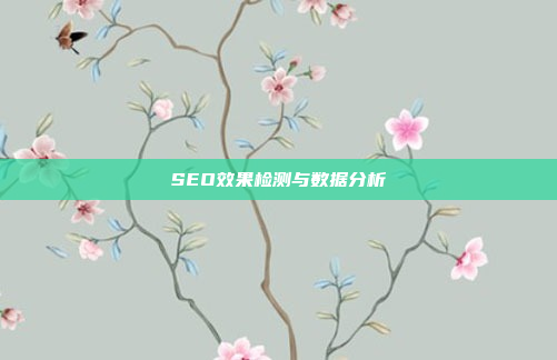 SEO效果检测与数据分析