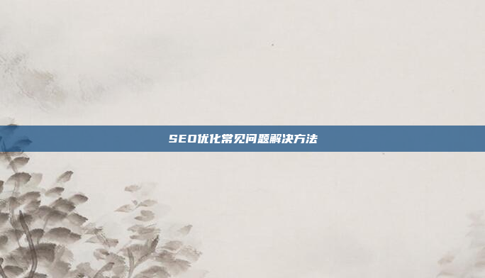 SEO优化常见问题解决方法