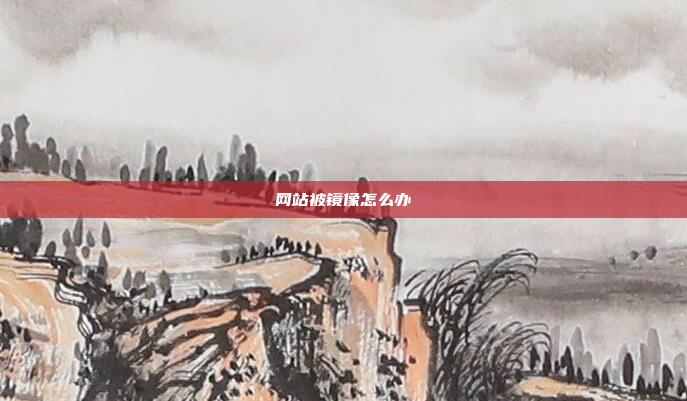 网站被镜像怎么办